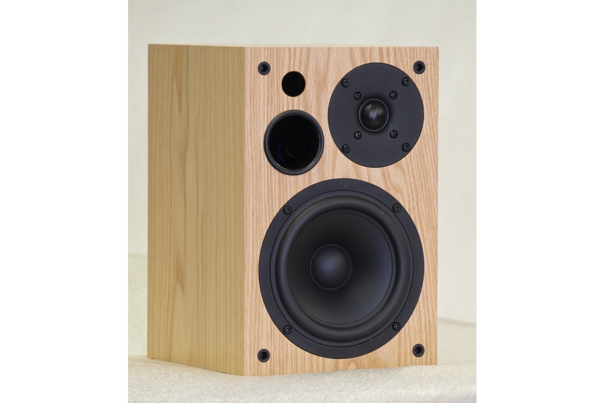 Avi active sale speakers